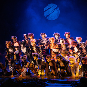 Cast Set For CATS The Musical in South Africa Photo