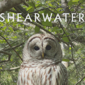 Photos: SHEARWATER Releases New Single LIGHT GOVERNANCE on Bandcamp Photo