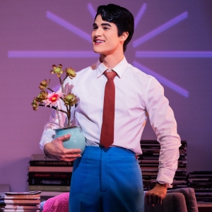 Darren Criss Will Return to MAYBE HAPPY ENDING Photo