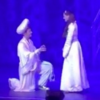 VIDEO: Star of ALADDIN in the UK Proposes to Co-Star On Stage Photo