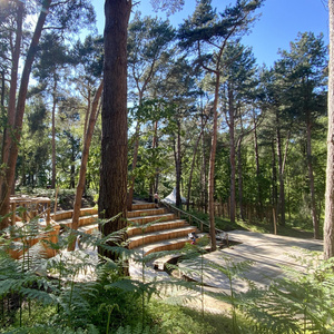 LOVE ACTUALLY and More Set for Thorington Theatre 2026 Summer Season Photo