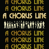 One Singular Sensation: A CHORUS LINE Opens At Pennsylvania Shakespeare Festival