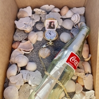 BWW Blog: I Sent Tom Hanks a Letter in a Bottle and Here's What Happened Photo