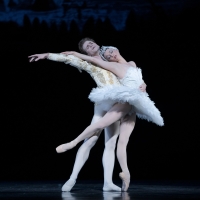 BWW Review: SWAN LAKE Soars in New National Ballet of Canada Production