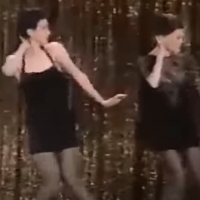 VIDEO: On This Day, November 14- CHICAGO Returns to Broadway Photo