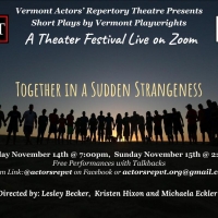 Vermont Actors' Repertory Theatre Presents A: ZOOM PLAY FEST!