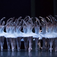 BWW Review: PACIFIC NORTHWEST BALLET'S “SWAN LAKE” RETURNS TO THE STAGE at McCaw  Photo