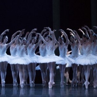 BWW Review: PACIFIC NORTHWEST BALLET'S “SWAN LAKE” RETURNS TO THE STAGE at McCaw  Video