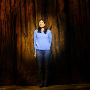 Review: REDWOOD Looks to Turn Tragedy Into Transformation at La Jolla Playhouse Photo
