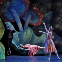 New York Theatre Ballet's SLEEPING BEAUTY To Take the Stage, March 11 And 12 Photo