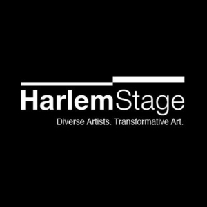 Stews HIGH SUBSTITUTE FOR THE HEAD LECTURER to Premiere at Harlem Stage in March Photo
