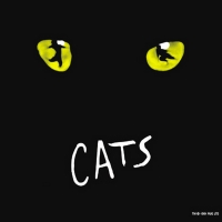 BWW Review: CATS at Rochester Broadway Theatre League Photo