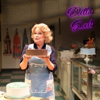 BWW Review: THE CAKE: Two Brides, One Conundrum for North Carolina Baker Video