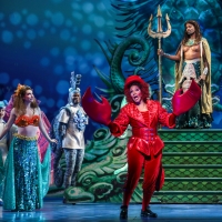 BWW Interview: Carla Woods Takes Audiences Under the Sea & Behind the Scenes at TUTS' Photo