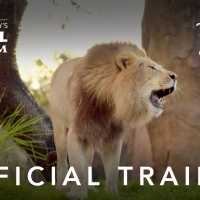 VIDEO: Watch the Official Trailer for THE MAGIC OF DISNEY'S ANIMAL KINGDOM