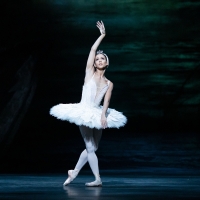 SWAN LAKE Comes to The Royal Opera House This Spring Photo