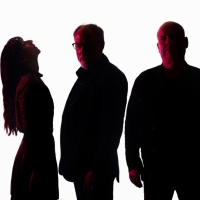 Pixies Release New Single 'Vault of Heaven'