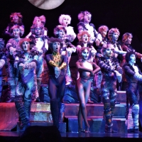 Watch Excerpt: 'Jellicle Songs for Jellicle Cats' from CATS Photo