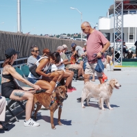 CIRCLE LINE Announces “Howling Halloween Pup Cruise” Photo