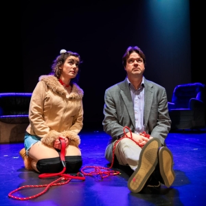 Review: SYLVIA at Carlisle Theatre Players On High Video