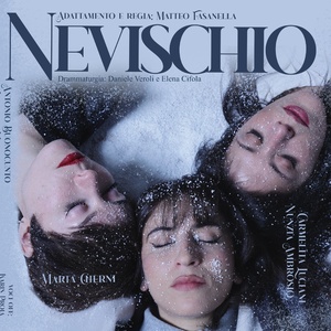 Review: NEVISCHIO al TEATRO COMETA OFF Photo
