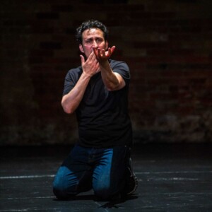 HAMLET (SOLO) to Return to Theatre Passe Muraille as Fundraiser Photo