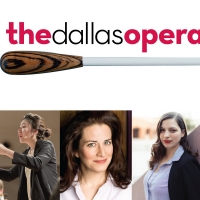 The Dallas Opera's Hart Institute Goes Virtual for 2021; Participants Announced Photo