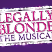 Review: LEGALLY BLONDE THE MUSICAL Turns Jackson Positively Pink! Photo