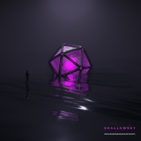 Shallowsky Release New Single 'Musclesareuselessagainstghosts' Photo