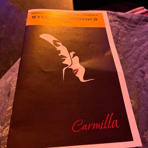 Student Blog: Fangs, Feelings, and Fight Calls- Not Your Typical Vampire Musical Photo