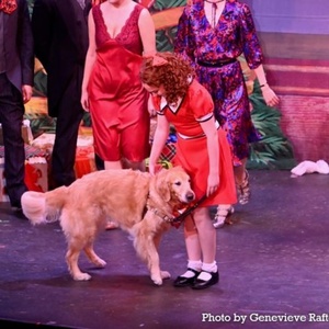 Review: ANNIE at The Argyle Theatre Photo