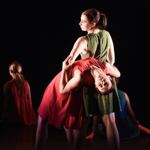 Dublin Youth Dance Company to Present Winter Gala Featuring Talented Ensembles Photo