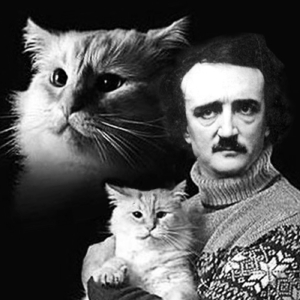EDGAR ALLAN POE IS DEAD AND SO IS MY CAT is Coming to BuntPort Theater Photo