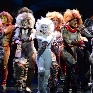 CATS, PRETTY WOMAN and More Set for Beef & Boards 2026 Season