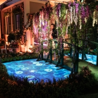 MONETS GARDEN THE IMMERSIVE EXPERIENCE Extends Through February 26 Photo