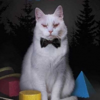 Theatrical Release of KOKO-DI KOKO-DA Will be Postponed Photo