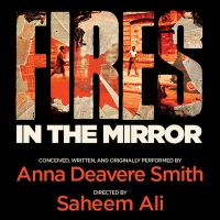 FIRES IN THE MIRROR Extends Through Dec. 8th, New Video Discussion Photo