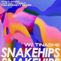 Tom Everett Remixes Snakehips and Tinashe's New Single Photo