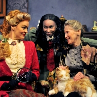 Public Theatre's THE VICTORIAN LADIES' DETECTIVE COLLECTIVE Opens This Week Photo
