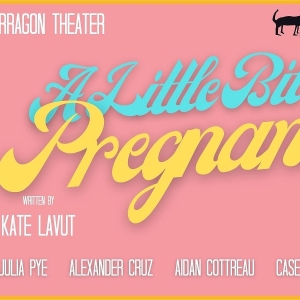 Paper Dog Press to Present A LITTLE BIT PREGNANT as Part of Toronto Fringe Festival 2 Photo