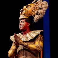 THE LION KING Extends Cancelations Through December 29th Matinee Photo