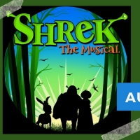 Kickoff And Auditions Announced For SHREK THE MUSICAL At Lyric Theatre Company Photo