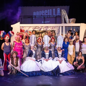 Review: PRISCILLA QUEEN OF THE DESERT at Palm Canyon Theatre