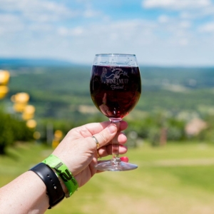 BLUE MOUNTAIN RESORT WINE FEST on 8/26 and 8/27