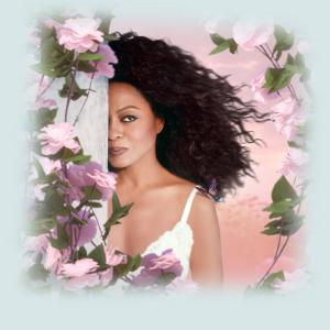 Diana Ross to Perform at Blue Note Napa Summer Sessions Photo