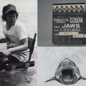 Jaws: The Exhibition Coming to the Academy Museum Photo