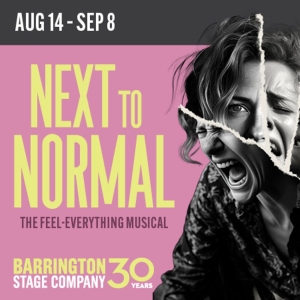 Special Offer: NEXT TO NORMAL at Barrington Stage Company Photo