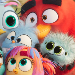 Video: THE ANGRY BIRDS MOVIE 3 Debuts Official Trailer Photo