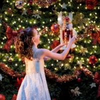 Evergreen City Ballet Presents A New Way To Experience THE NUTCRACKER Photo