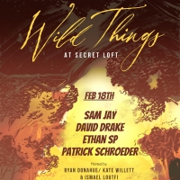 Details Have Been Released for Next Installment of WILD THINGS COMEDY at The Secret L Video